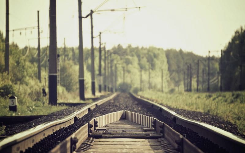 Fiera del Marrone 2008