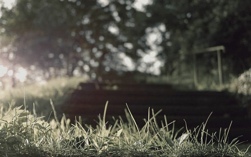 Mercato Europeo 2010