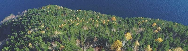 Cioccofest 2010 — Logo