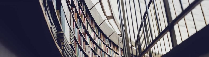 Fiera del Marrone 2008 — Logo