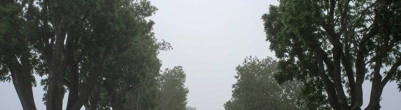 Fiera del Marrone 2009 — Logo