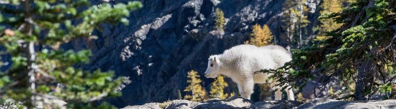 Mercato Europeo di Cuneo